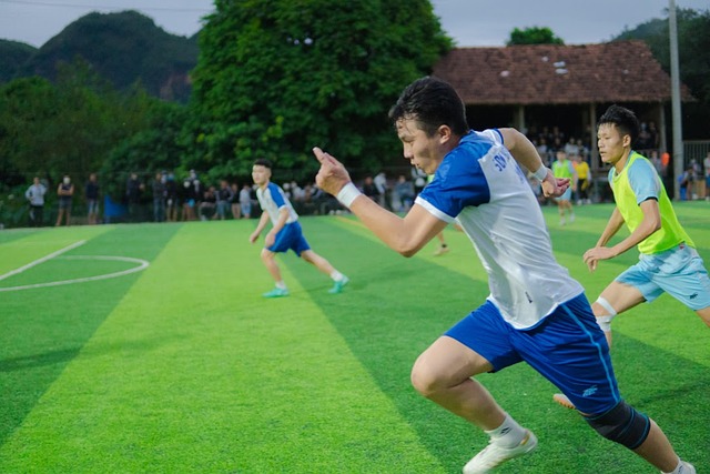 登贝莱与法