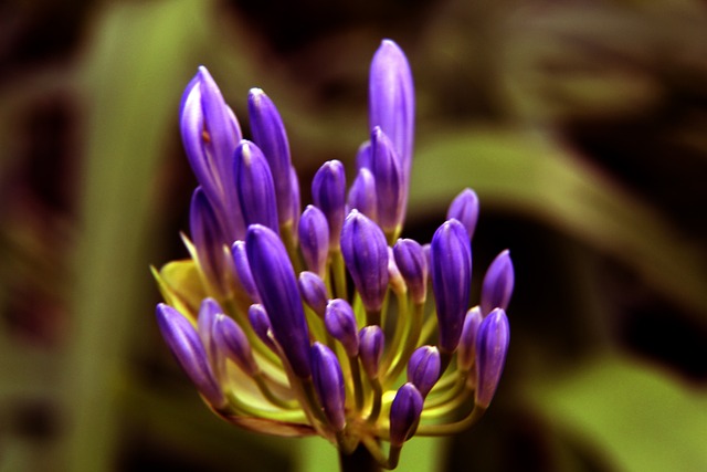 界的熱議焦 界的熱議焦