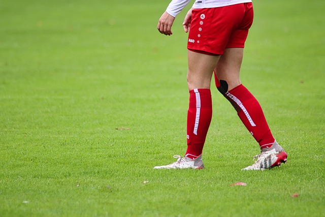 众多女解说 众多女解说