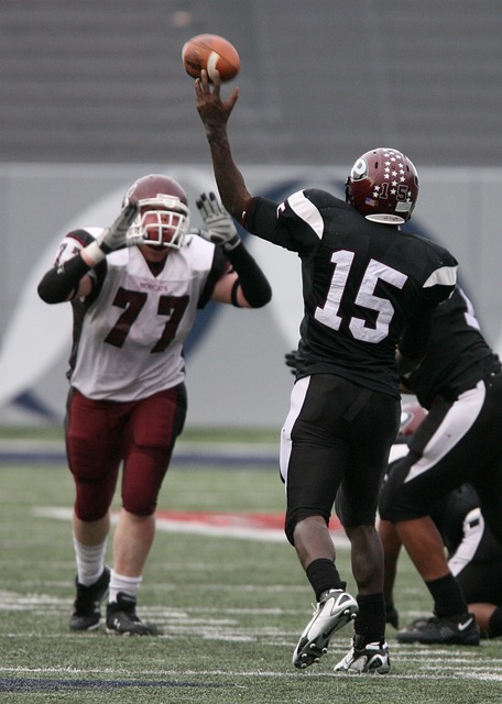 在体育界 在体育界