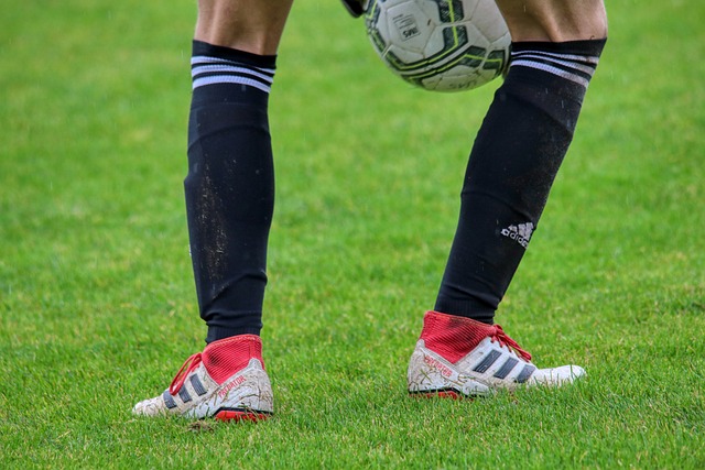 力的球員 力的球員