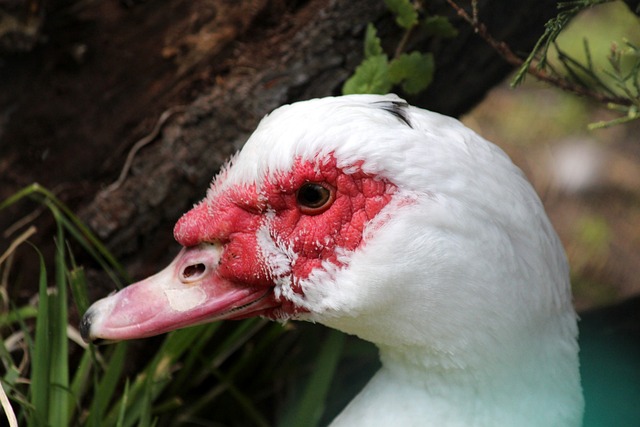 球員們發表 球員們發表