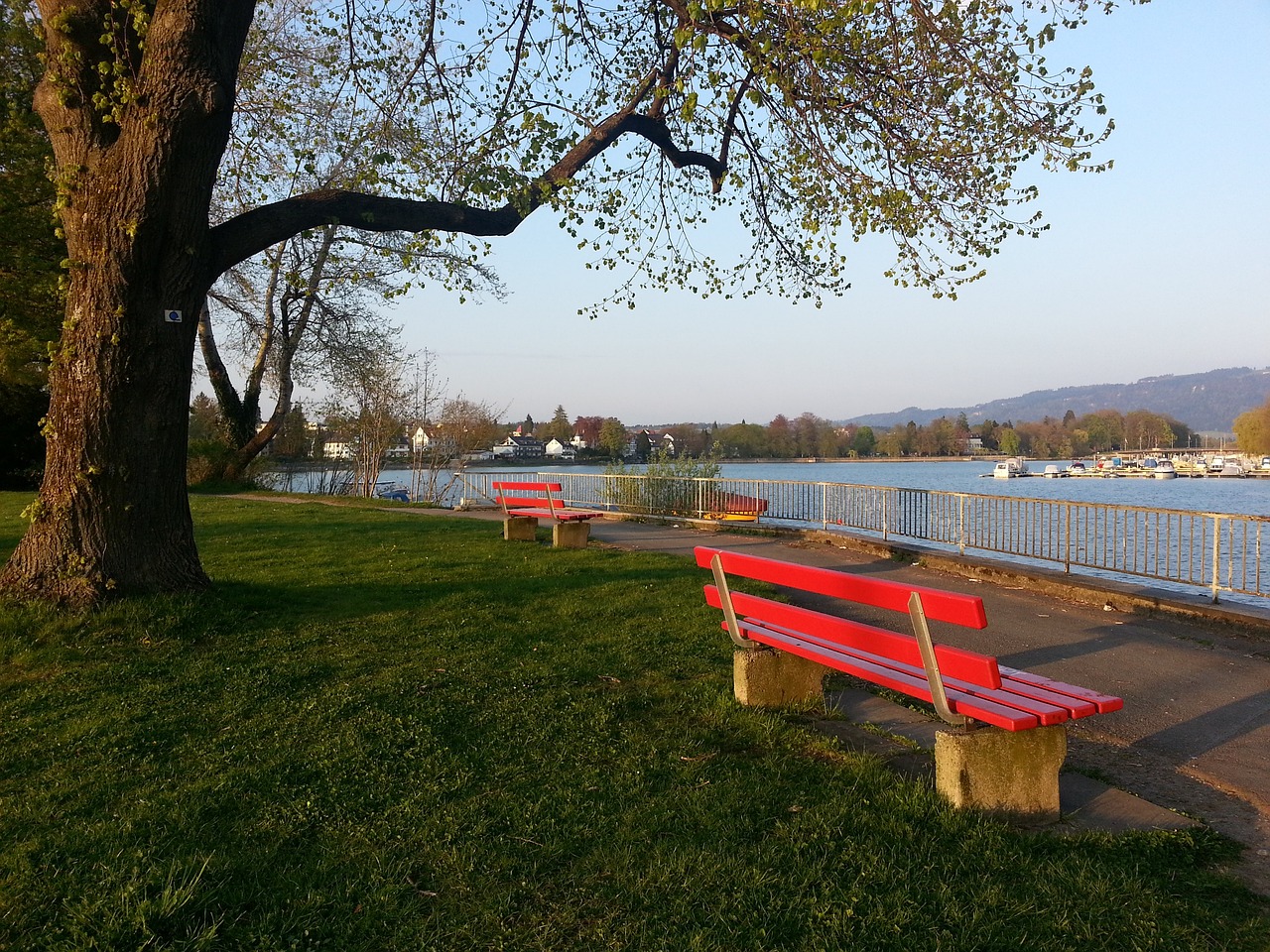 盟为之侧目 盟为之侧目