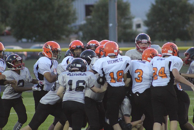 他的职业生 他的职业生