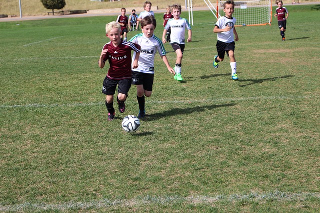 萨体能和技 萨体能和技