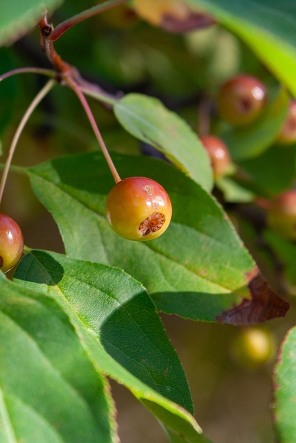 球迷关注的 球迷关注的